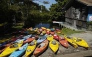 Rentals Rentals