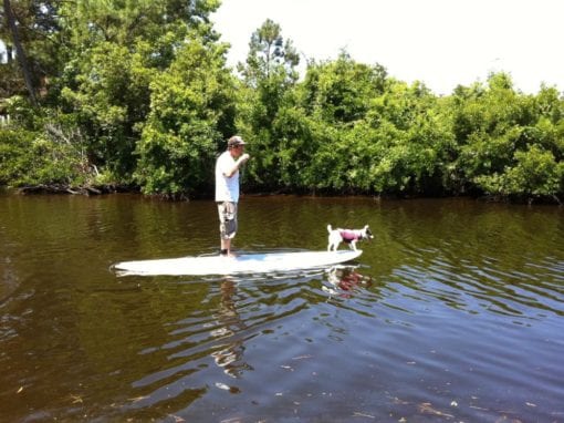 Outer Banks Stand Up Paddle Locations | Kitty Hawk Kayak & Surf School