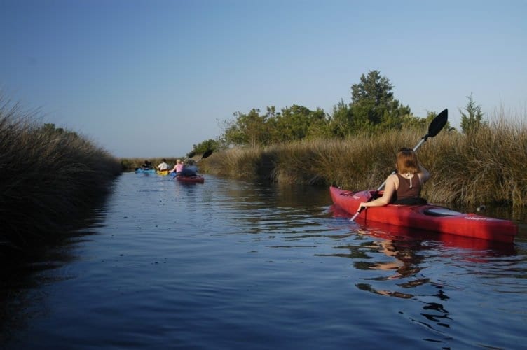 Roanoke Island Kayak Tour Kitty Hawk Kayak & Surf School