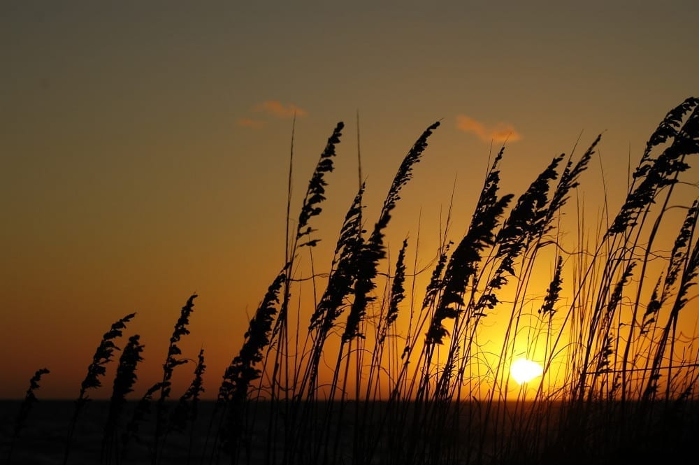 Outer Banks Stand Up Paddle Locations