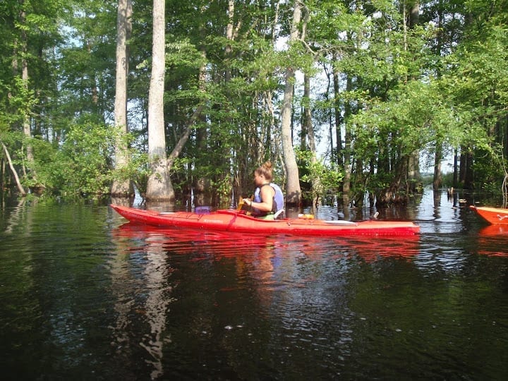 kayakingtourobxCorollaSaltMarsh Kitty Hawk Kayak & Surf School